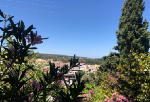Monastery of Christ and St. Gedeon景点图片