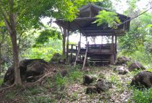 Batu Pulas Beach景点图片