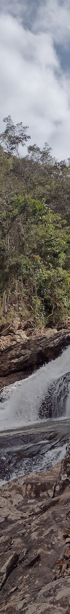 Parque Estadual Mata do Limoeiro-伊塔比拉