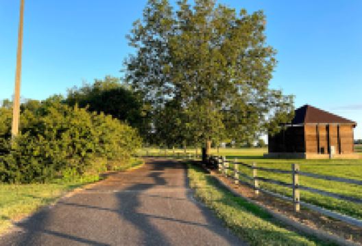 Parkers Crossroads City Park景点图片