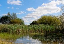 Smalley Hill Nature Reserve景点图片
