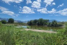 Bear River Access Management Area景点图片