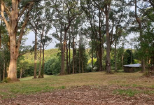 One tree hill - water fountain景点图片