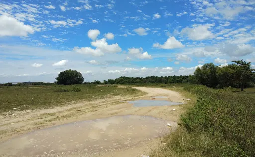 Pantai Tanjung Piai