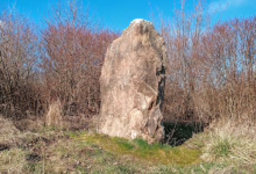 Menhir bei Heimburg景点图片