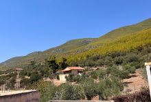 Agia Paraskevi景点图片