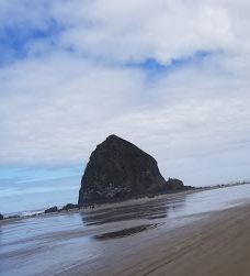 Oregon Coast Beach-纽波特
