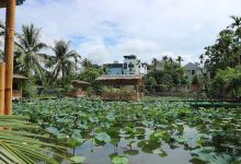Đầm Sen Quảng Yên景点图片
