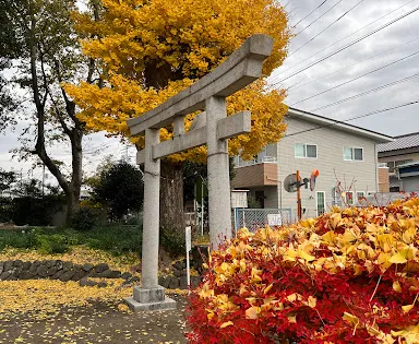 中里八幡宮