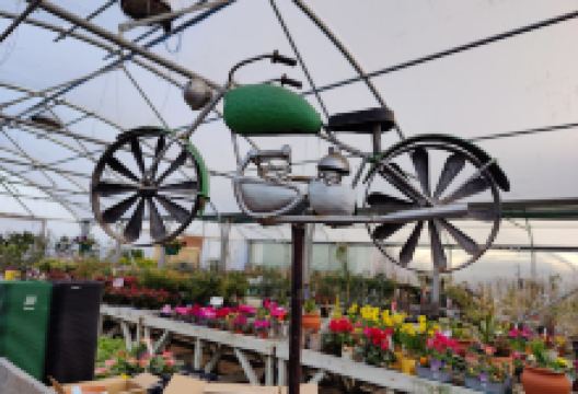 Holton Road Garden Centre购物图片