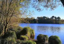 Parc de Brural景点图片