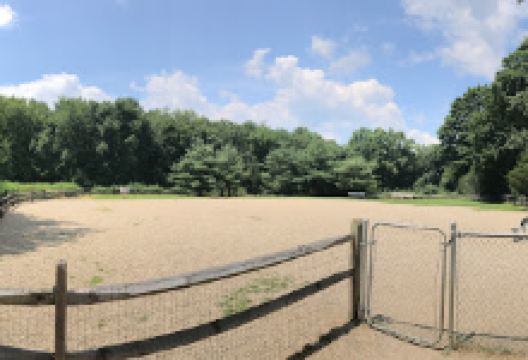 Easton Dog Park景点图片