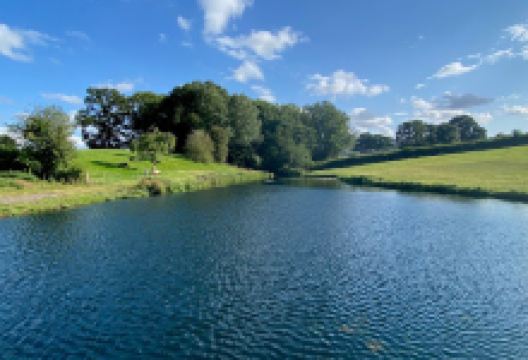 Orchard Holiday Park & Fishery景点图片