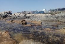 Mini-parc de loisirs景点图片