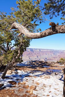 Pipe Creek Vista-大峡谷村