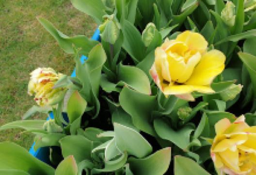 Rønhøjgård Foreningshus景点图片