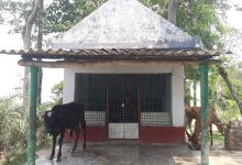 Kali mandir景点图片