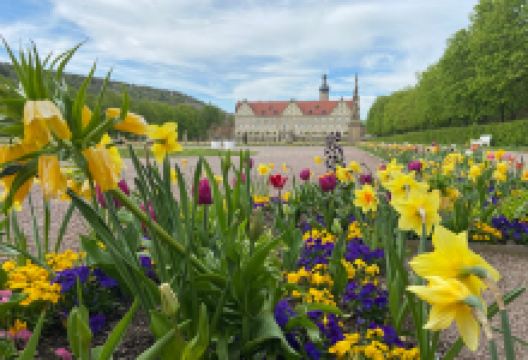 Stadt Park景点图片