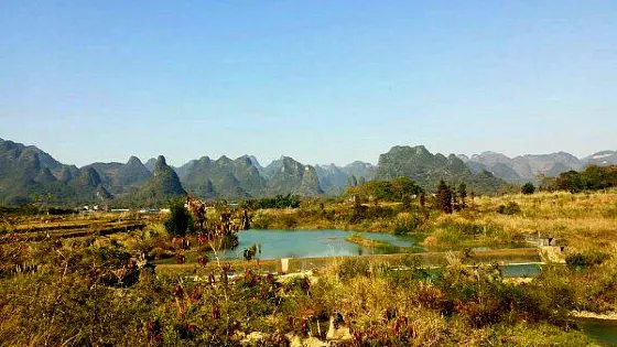 英德市飛龍祖廟