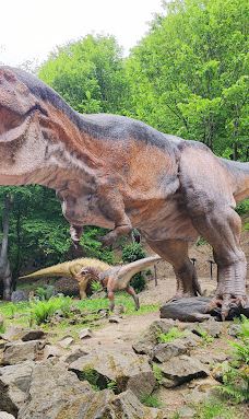 Zoo Kosice-科希策1区