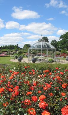 Geografisk Have-科灵