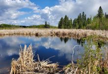 North Cooking Lake Natural Area景点图片