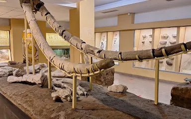 Muzeul Stiintele Naturii Oltenia