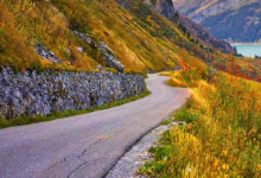 Terraplant - Gheorghe Family景点图片