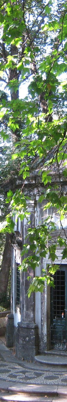 山上仁慈耶稣朝圣所-布拉加