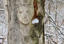 Overland Park Arboretum & Botanical Gardens景点图片