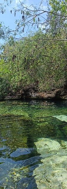 Cenote Azul-索里达瑞达德