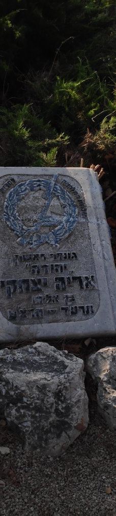 Zappa Amphi Shuni-Binyamina-Giv'at Ada