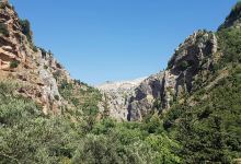 Horsh Ehden Nature Reserve景点图片