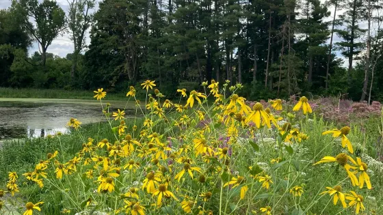 Canoe Meadows Wildlife Sanctuary