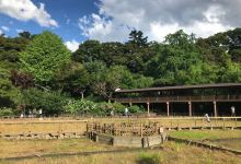 本土寺景点图片