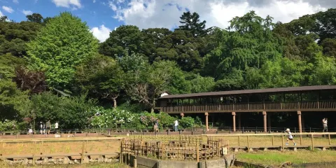 本土寺