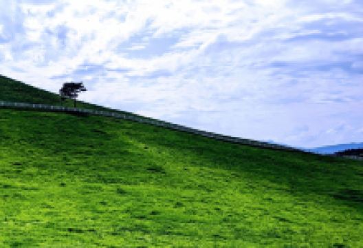Kuzumaki Highland Farm景点图片
