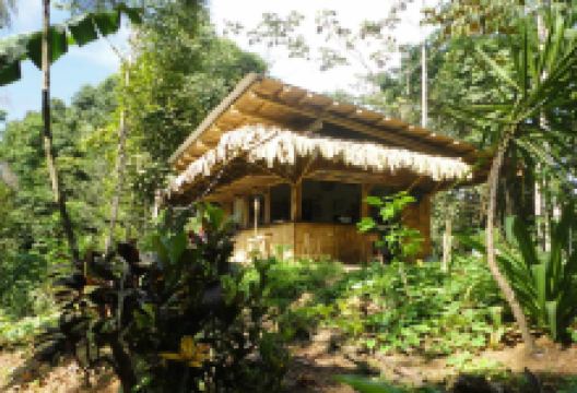 Finca Tierra景点图片