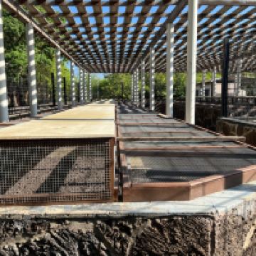 比亚米尔港图片