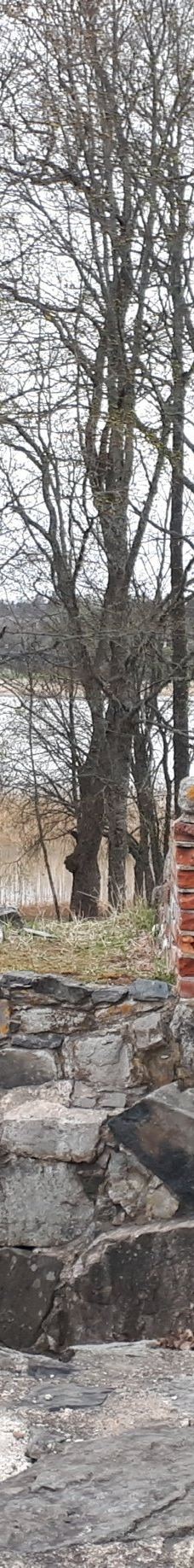 Kuusisto Bishop's Castle-卡里纳