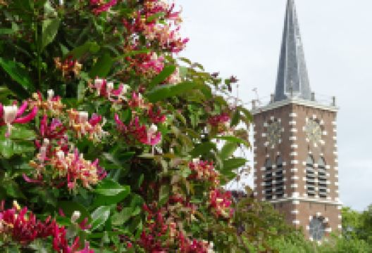 Dorpskerk Aalsmeer景点图片