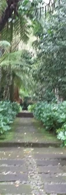 Arboretum Sumber Brantas-Bumiaji