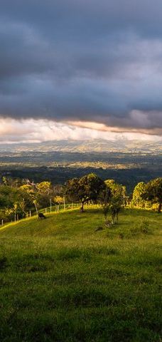 Finca Cantaros-圣维托