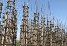 Cattedrale Vegetale景点图片