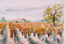 Vignobles Yves Delol - Chateau Gueyrosse景点图片