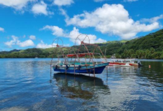 Vairua Perles购物图片