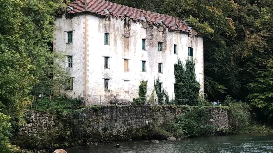 Aribeko Zubi Eserkia / Puente Colgante de Aribe