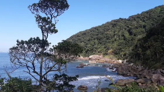 Praia Saco do Major