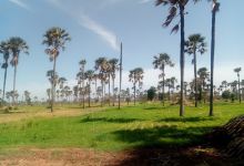 Centre d'interprétation du Delta du Saloum de Toubacouta景点图片