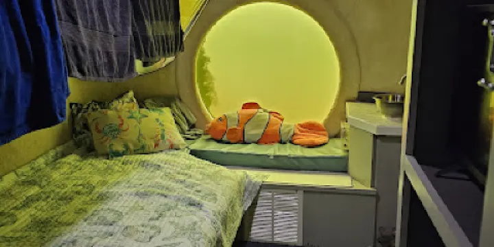 Jules Undersea Lodge Dive and Snorkeling